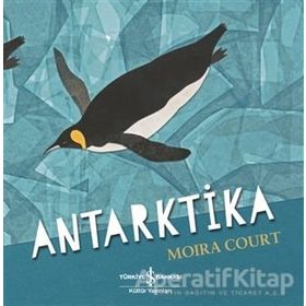 Antarktika-Moira Court