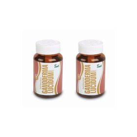 Anti Ganoderma Lucidium Reishi Mantarı 2x90 Kapsül