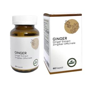 Anti Ginger Zencefil Ekstresi 60 Kapsül