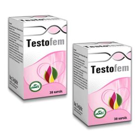 Anti Testofem Damiana Ekstresi 30 Kapsül