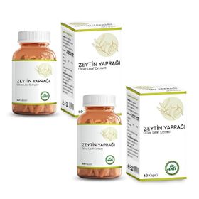 Anti Zeytin Yaprağı Ekstresi 2x60 Kapsül