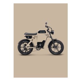 Ape Ryder Baboon Elektrikli Bisiklet