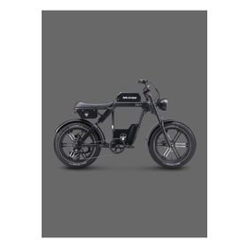 Ape Ryder Baboon Elektrikli Bisiklet