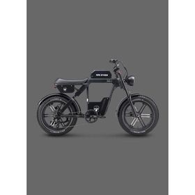 Ape Ryder Baboon Elektrikli Bisiklet