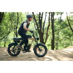 Ape Ryder Baboon Siyah Elektrikli Bisiklet