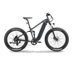 Ape Ryder Buffalo-F Antrasit Elektrikli Bisiklet