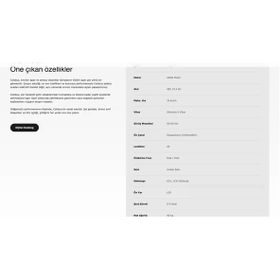 Ape Ryder Colobus Premium 750 W Siyah Elektrikli Bisiklet