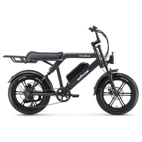 Ape Ryder Colobus Premium 750 W Siyah Elektrikli Bisiklet