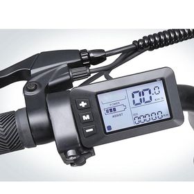 Ape Ryder Colobus Premium 750 W Siyah Elektrikli Bisiklet