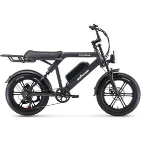 Ape Ryder Colobus Premium 750 W Siyah Elektrikli Bisiklet