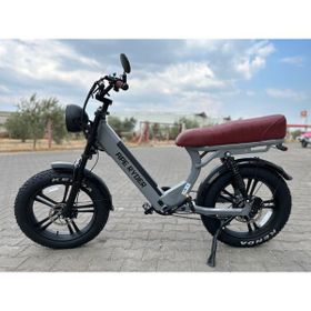 Ape Ryder MD10 750 W Gri Elektrikli Bisiklet