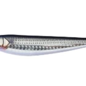 Apia Argo 160F 160 mm 48 gr 02 Konoshiro Yüzen Maket Balık