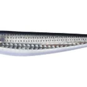 Apia Argo 200F 200 mm 105 gr 02 Konoshiro Yüzen Maket Balık