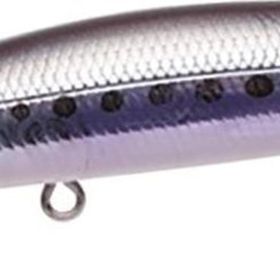 Apia Dover 82S 82 cm 10 gr 04 Iwashi Batan Maket Balık