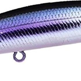 Apia Dover 82S 82 cm 10 gr 14 Panikku Katakuti Batan Maket Balık