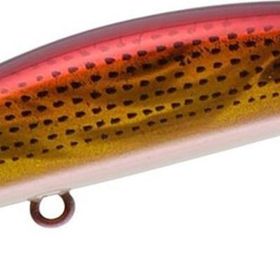 Apia Dover Shallow Runner F 70 mm 8.5 gr 01 Red Gold Konoshiro LRF Maket Balık