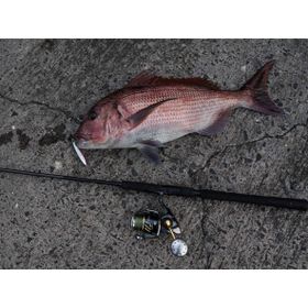 Apia Grandage 106MH 320 cm 14-50 gr Spin Olta Kamışı