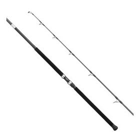Apia Grandage Atlas C-Safari 99 Max 2.97 m Plug 180-200 gr Shore Jig Kamış