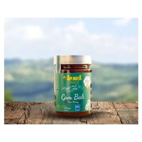 Apimaya 455 gr Kaz Dağları Çam Balı