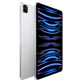 Apple iPad Pro 2018 12.9 256 GB