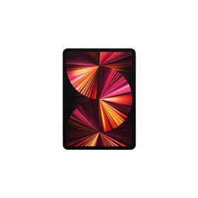Apple Ipad Pro 3. Nesil MHWE3TU/A 11 inç Wi-fi + Cellular 2TB Uzay Grisi Tablet Pc