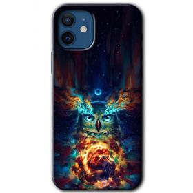 Apple iPhone 12 Ballı Baykuş Baskılı Uyumlu Silikon Kılıf