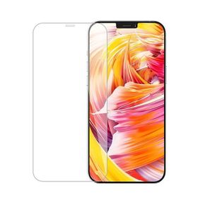 Apple Iphone 12 Nano Ekran Koruyucu Uyumlu Kırılmaz Cam