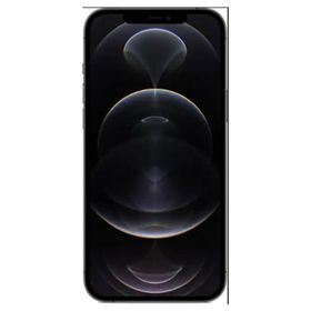 Apple iPhone 12 Pro Max 512GB Siyah