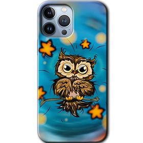 Apple iPhone 12 Pro Owl Bird Stars Baskılı Uyumlu Silikon Kılıf