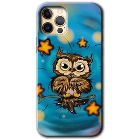 Apple iPhone 12 Pro Owl Bird Stars Baskılı Uyumlu Silikon Kılıf
