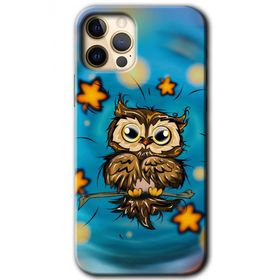 Apple iPhone 12 Pro Owl Bird Stars Baskılı Uyumlu Silikon Kılıf
