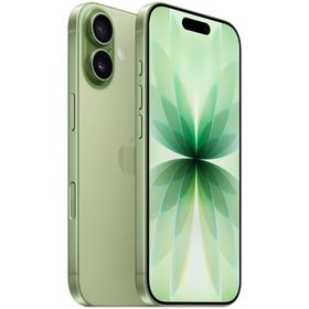 Apple iPhone 17 512 GB Ada Çayı