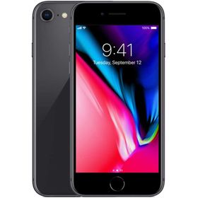 Apple iPhone 8 256GB Uzay Grisi