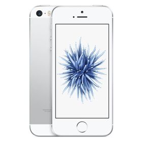 Apple iPhone SE 64 GB Uzay Grisi