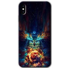 Apple iPhone X Ballı Baykuş Baskılı Uyumlu Silikon Kılıf
