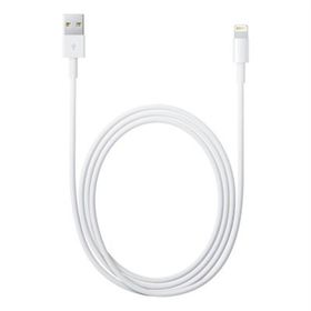 Apple Lightning MD819ZM/A USB Şarj Kablosu
