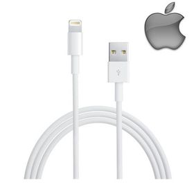 Apple Lightning ME291ZM/A USB Şarj Kablosu