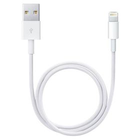 Apple MD818ZM/A 1m Lightning to USB Kablo