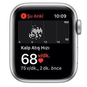 Apple Watch SE Nike 40 mm Alüminyum Kasa Akıllı Saat