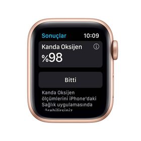 Apple Watch Series 6 40 mm Altın Alüminyum Kasa Akıllı Saat