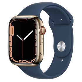 Apple Watch Series 7 45 mm GPS + Cellular Paslanmaz Çelik Kasa Akıllı Saat