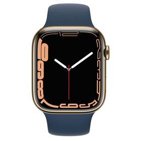 Apple Watch Series 7 45 mm GPS + Cellular Paslanmaz Çelik Kasa Akıllı Saat