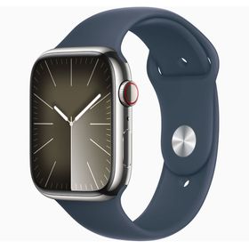 Apple Watch Series 9 41 mm Gps + Cellular Paslanmaz Çelik Kasa Spor Kordon Akıllı Saat