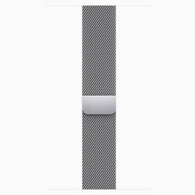 Apple Watch Series 9 41 mm GPS + Celluler Paslanmaz Çelik Kasa Milano Loop Akıllı Saat