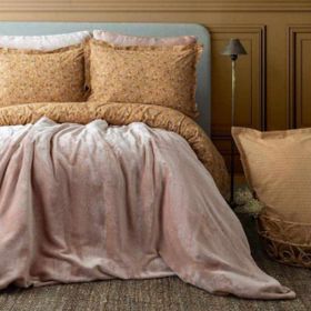 Apricitas Home My Touch Series Pudra Çift Kişilik Battaniyeli Nevresim Takımı