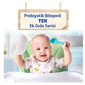 Aptamil 1 0-6 Ay 250 gr Sütlü Ballı İrmikli Tahıl Bazlı Kaşık Maması