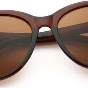 Aqua Di Polo 1987 APSN001402 Cat Eye Kahverengi Kadın Güneş GözlüğÜ
