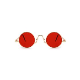 Aqua Di Polo 1987 APSS067143 Altın Minimal Kadın Güneş Gözlüğü