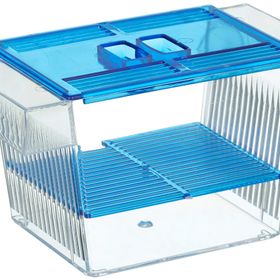 Aqua Magic Tekli Balık Yavruluğu
