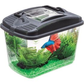 Aquael 3 lt 23,7 x 15,4 x 17,3 cm Betta Kit Beta Akvaryum
